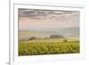 Champagne Vineyards in the Cote Des Bar Area of the Aube Department Near to Les Riceys-Julian Elliott-Framed Photographic Print