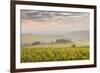 Champagne Vineyards in the Cote Des Bar Area of the Aube Department Near to Les Riceys-Julian Elliott-Framed Photographic Print