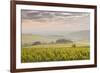 Champagne Vineyards in the Cote Des Bar Area of the Aube Department Near to Les Riceys-Julian Elliott-Framed Photographic Print