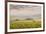 Champagne Vineyards in the Cote Des Bar Area of the Aube Department Near to Les Riceys-Julian Elliott-Framed Photographic Print