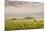 Champagne Vineyards in the Cote Des Bar Area of the Aube Department Near to Les Riceys-Julian Elliott-Mounted Photographic Print