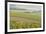 Champagne Vineyards in the Cote Des Bar Area of the Aube Department Near to Les Riceys-Julian Elliott-Framed Photographic Print