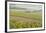 Champagne Vineyards in the Cote Des Bar Area of the Aube Department Near to Les Riceys-Julian Elliott-Framed Photographic Print