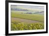 Champagne Vineyards in the Cote Des Bar Area of the Aube Department Near to Les Riceys-Julian Elliott-Framed Photographic Print
