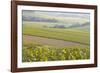 Champagne Vineyards in the Cote Des Bar Area of the Aube Department Near to Les Riceys-Julian Elliott-Framed Photographic Print