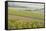 Champagne Vineyards in the Cote Des Bar Area of the Aube Department Near to Les Riceys-Julian Elliott-Framed Stretched Canvas