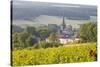 Champagne Vineyards in the Cote Des Bar Area of the Aube Department Near to Les Riceys-Julian Elliott-Stretched Canvas