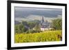 Champagne Vineyards in the Cote Des Bar Area of the Aube Department Near to Les Riceys-Julian Elliott-Framed Photographic Print