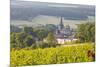 Champagne Vineyards in the Cote Des Bar Area of the Aube Department Near to Les Riceys-Julian Elliott-Mounted Photographic Print