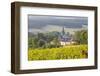 Champagne Vineyards in the Cote Des Bar Area of the Aube Department Near to Les Riceys-Julian Elliott-Framed Photographic Print