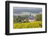 Champagne Vineyards in the Cote Des Bar Area of the Aube Department Near to Les Riceys-Julian Elliott-Framed Photographic Print