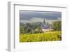 Champagne Vineyards in the Cote Des Bar Area of the Aube Department Near to Les Riceys-Julian Elliott-Framed Photographic Print