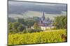 Champagne Vineyards in the Cote Des Bar Area of the Aube Department Near to Les Riceys-Julian Elliott-Mounted Photographic Print