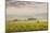 Champagne Vineyards in the Cote Des Bar Area of the Aube Department Near to Les Riceys-Julian Elliott-Mounted Photographic Print