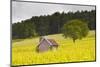 Champagne Vineyards in the Cote Des Bar Area of the Aube Department-Julian Elliott-Mounted Photographic Print