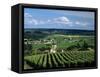 Champagne Vineyards, Ville-Dommange, Near Reims, Champagne, France, Europe-Stuart Black-Framed Stretched Canvas