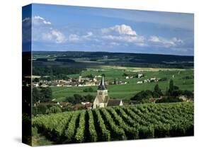 Champagne Vineyards, Ville-Dommange, Near Reims, Champagne, France, Europe-Stuart Black-Stretched Canvas