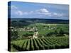 Champagne Vineyards, Ville-Dommange, Near Reims, Champagne, France, Europe-Stuart Black-Stretched Canvas