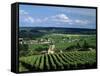 Champagne Vineyards, Ville-Dommange, Near Reims, Champagne, France, Europe-Stuart Black-Framed Stretched Canvas