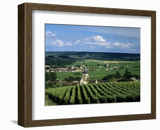 Champagne Vineyards, Ville-Dommange, Near Reims, Champagne, France, Europe-Stuart Black-Framed Photographic Print