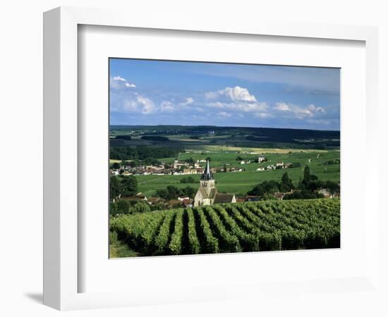 Champagne Vineyards, Ville-Dommange, Near Reims, Champagne, France, Europe-Stuart Black-Framed Photographic Print