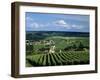 Champagne Vineyards, Ville-Dommange, Near Reims, Champagne, France, Europe-Stuart Black-Framed Photographic Print