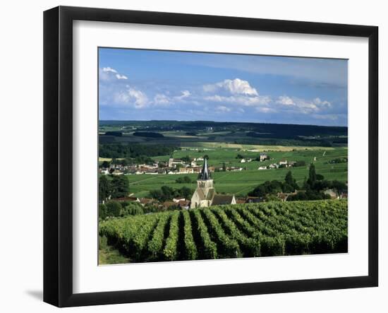 Champagne Vineyards, Ville-Dommange, Near Reims, Champagne, France, Europe-Stuart Black-Framed Photographic Print