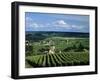 Champagne Vineyards, Ville-Dommange, Near Reims, Champagne, France, Europe-Stuart Black-Framed Photographic Print