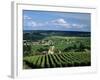 Champagne Vineyards, Ville-Dommange, Near Reims, Champagne, France, Europe-Stuart Black-Framed Photographic Print