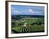 Champagne Vineyards, Ville-Dommange, Near Reims, Champagne, France, Europe-Stuart Black-Framed Photographic Print