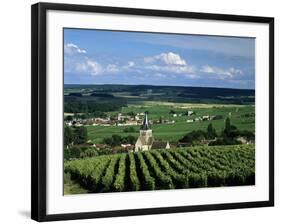 Champagne Vineyards, Ville-Dommange, Near Reims, Champagne, France, Europe-Stuart Black-Framed Photographic Print