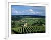 Champagne Vineyards, Ville-Dommange, Near Reims, Champagne, France, Europe-Stuart Black-Framed Photographic Print