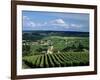 Champagne Vineyards, Ville-Dommange, Near Reims, Champagne, France, Europe-Stuart Black-Framed Photographic Print