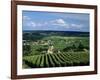 Champagne Vineyards, Ville-Dommange, Near Reims, Champagne, France, Europe-Stuart Black-Framed Photographic Print