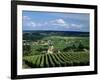 Champagne Vineyards, Ville-Dommange, Near Reims, Champagne, France, Europe-Stuart Black-Framed Photographic Print