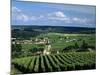 Champagne Vineyards, Ville-Dommange, Near Reims, Champagne, France, Europe-Stuart Black-Mounted Photographic Print