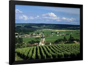 Champagne Vineyards, Ville-Dommange, Near Reims, Champagne, France, Europe-Stuart Black-Framed Photographic Print