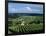 Champagne Vineyards, Ville-Dommange, Near Reims, Champagne, France, Europe-Stuart Black-Framed Photographic Print