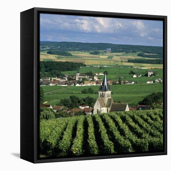 Champagne Vineyards, Ville-Dommange, Near Reims, Champagne, France, Europe-Stuart Black-Framed Stretched Canvas