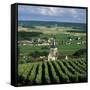 Champagne Vineyards, Ville-Dommange, Near Reims, Champagne, France, Europe-Stuart Black-Framed Stretched Canvas