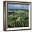 Champagne Vineyards, Ville-Dommange, Near Reims, Champagne, France, Europe-Stuart Black-Framed Photographic Print