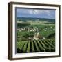 Champagne Vineyards, Ville-Dommange, Near Reims, Champagne, France, Europe-Stuart Black-Framed Photographic Print