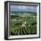 Champagne Vineyards, Ville-Dommange, Near Reims, Champagne, France, Europe-Stuart Black-Framed Photographic Print