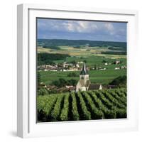 Champagne Vineyards, Ville-Dommange, Near Reims, Champagne, France, Europe-Stuart Black-Framed Photographic Print