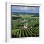 Champagne Vineyards, Ville-Dommange, Near Reims, Champagne, France, Europe-Stuart Black-Framed Photographic Print