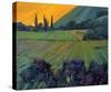 Champange Vineyards-Philip Craig-Stretched Canvas