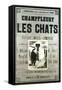 Champfleury Les Chats-null-Framed Stretched Canvas