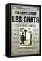 Champfleury Les Chats-null-Framed Stretched Canvas