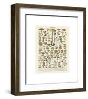 Champignons I-Adolphe Millot-Framed Giclee Print