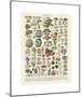 Champignons II-Adolphe Millot-Mounted Giclee Print